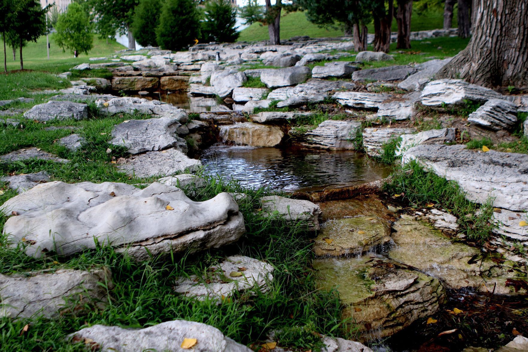 A guide to the hidden gems of Forest Park